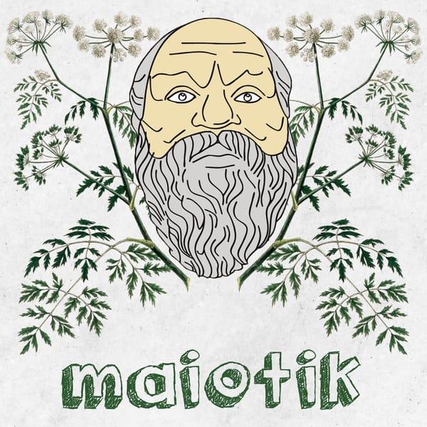 Öyleyse başlıyorum!